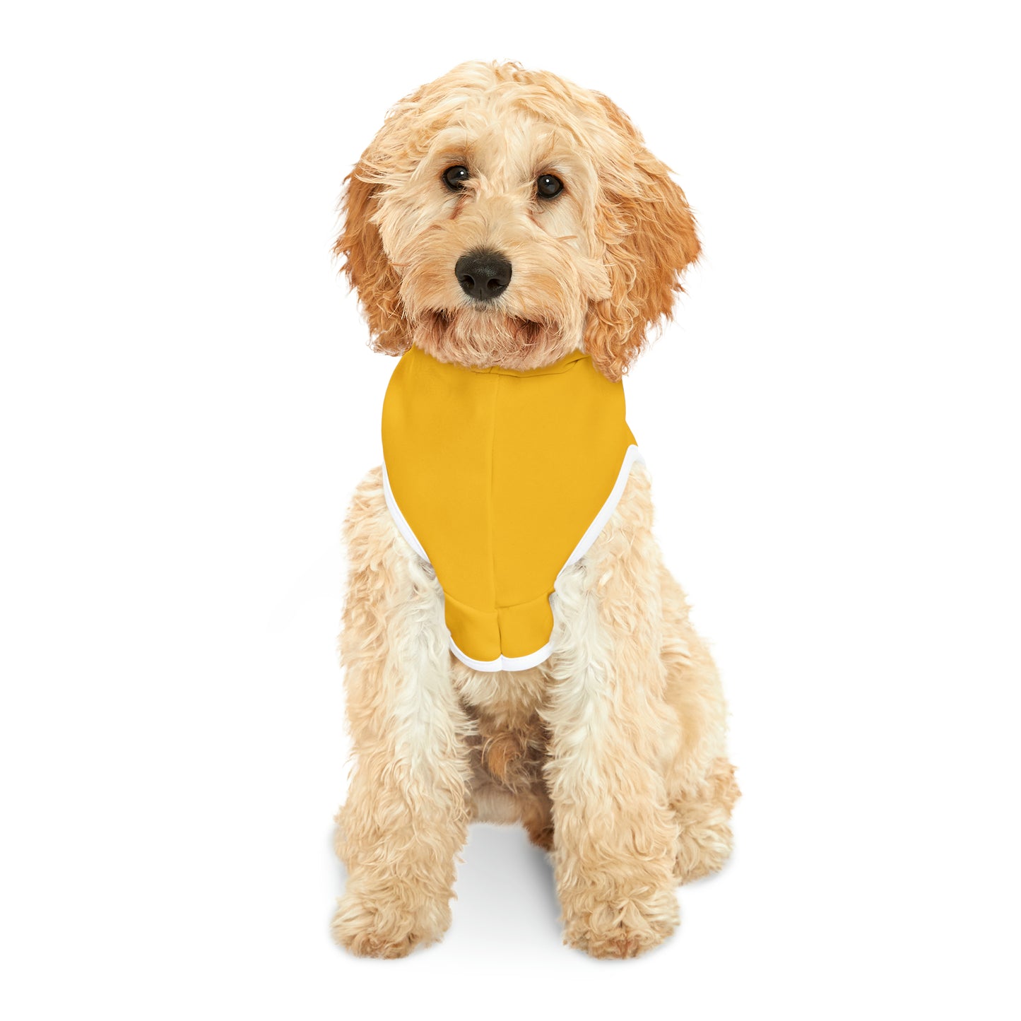Dog Hoodie (I Love My Dog-Gone Life)