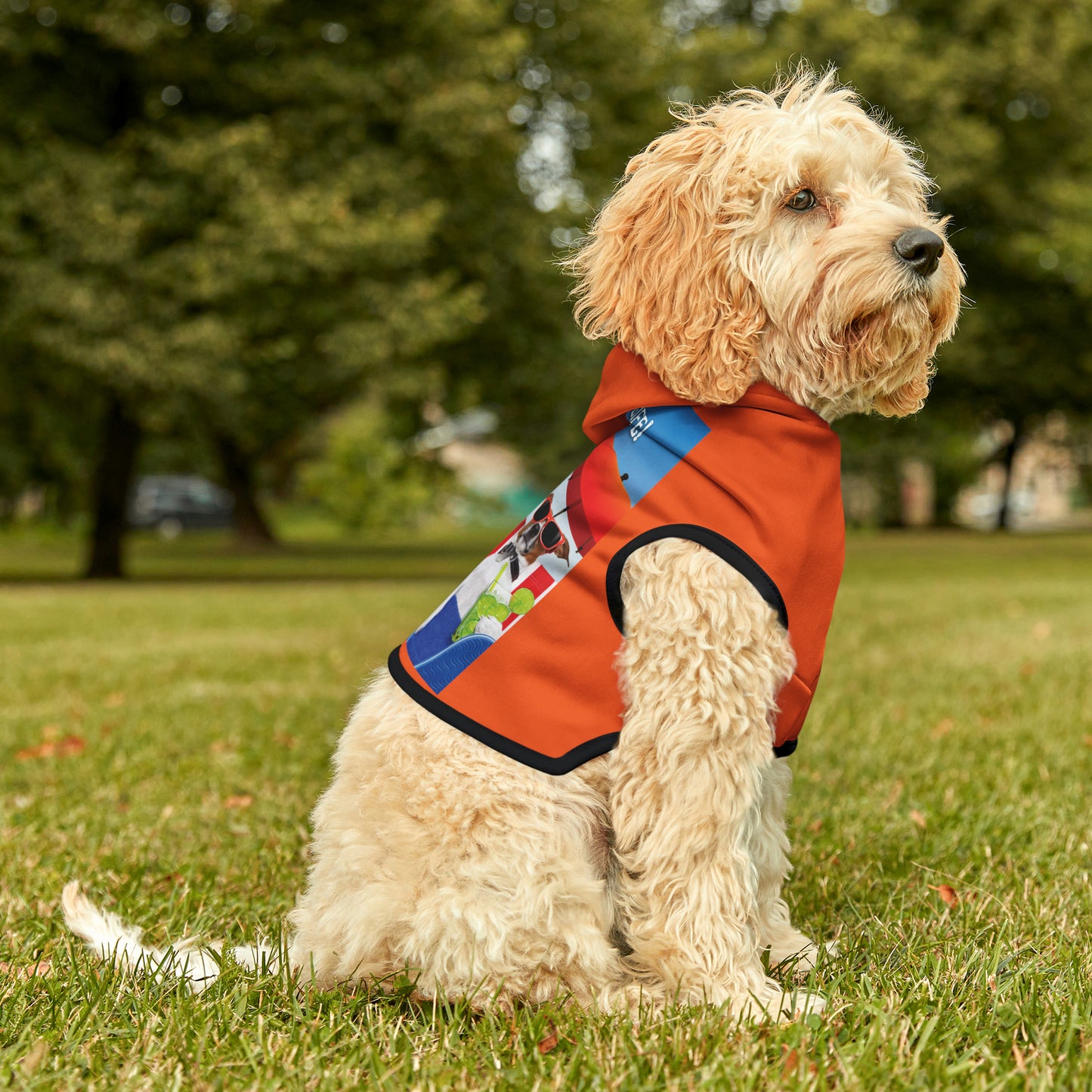 Dog Hoodie (I Love My Dog-Gone Life)