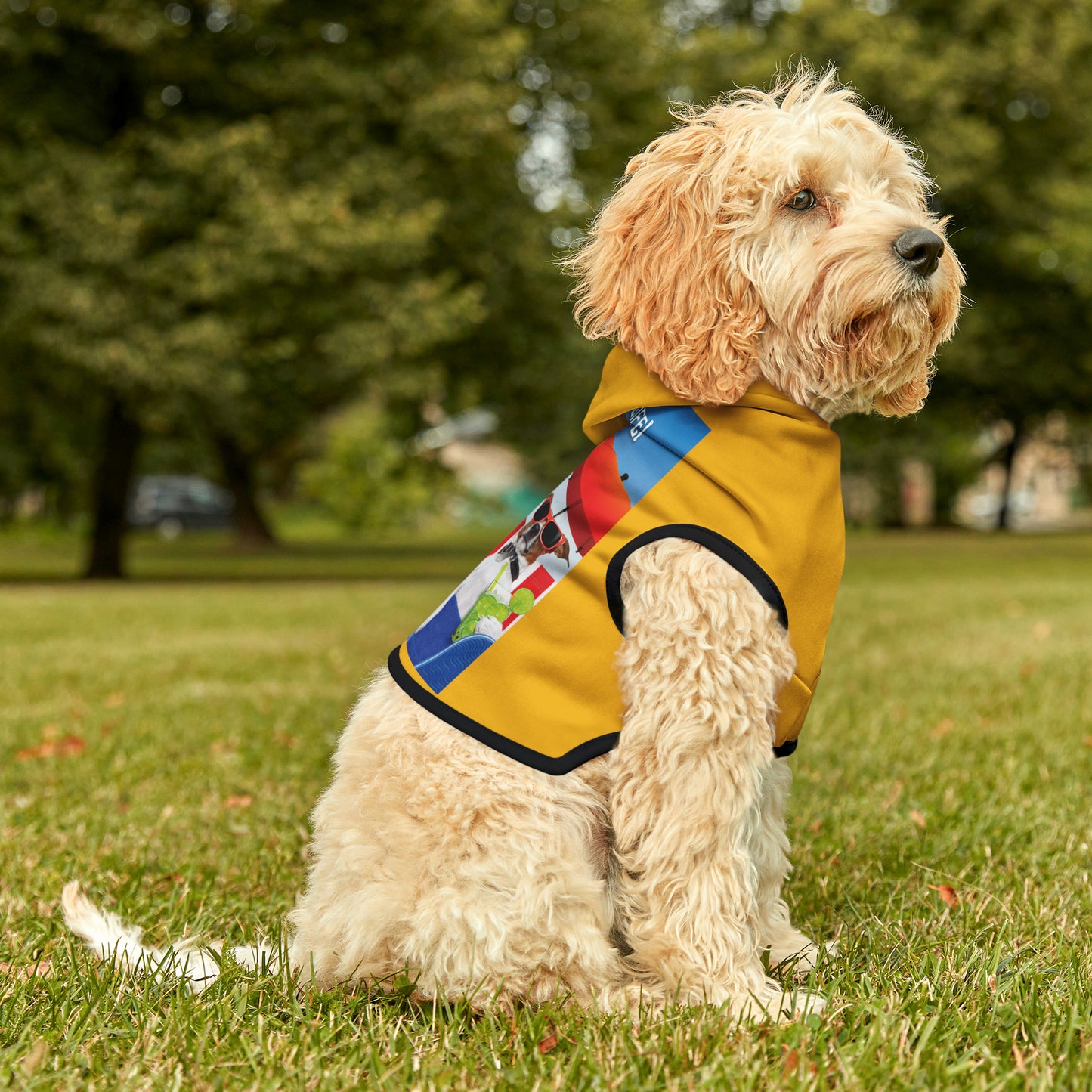 Dog Hoodie (I Love My Dog-Gone Life)