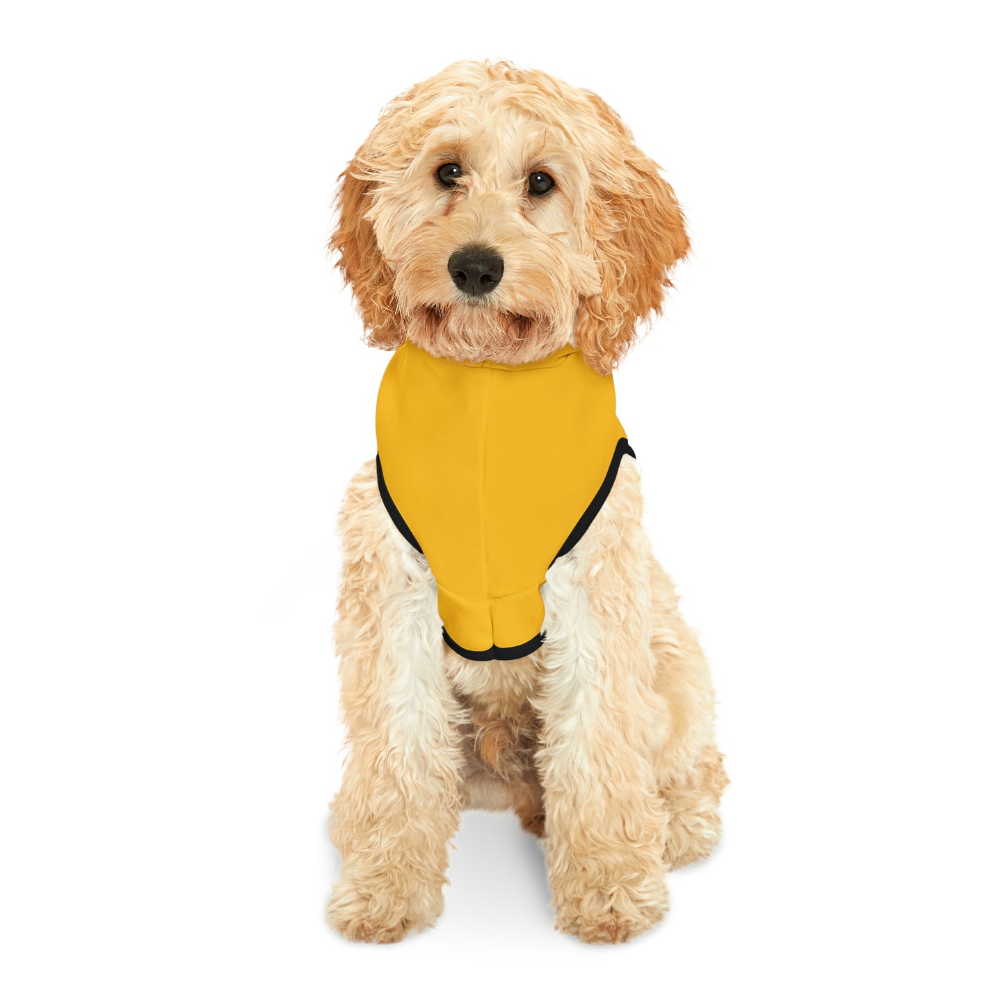 Dog Hoodie (I Love My Dog-Gone Life)