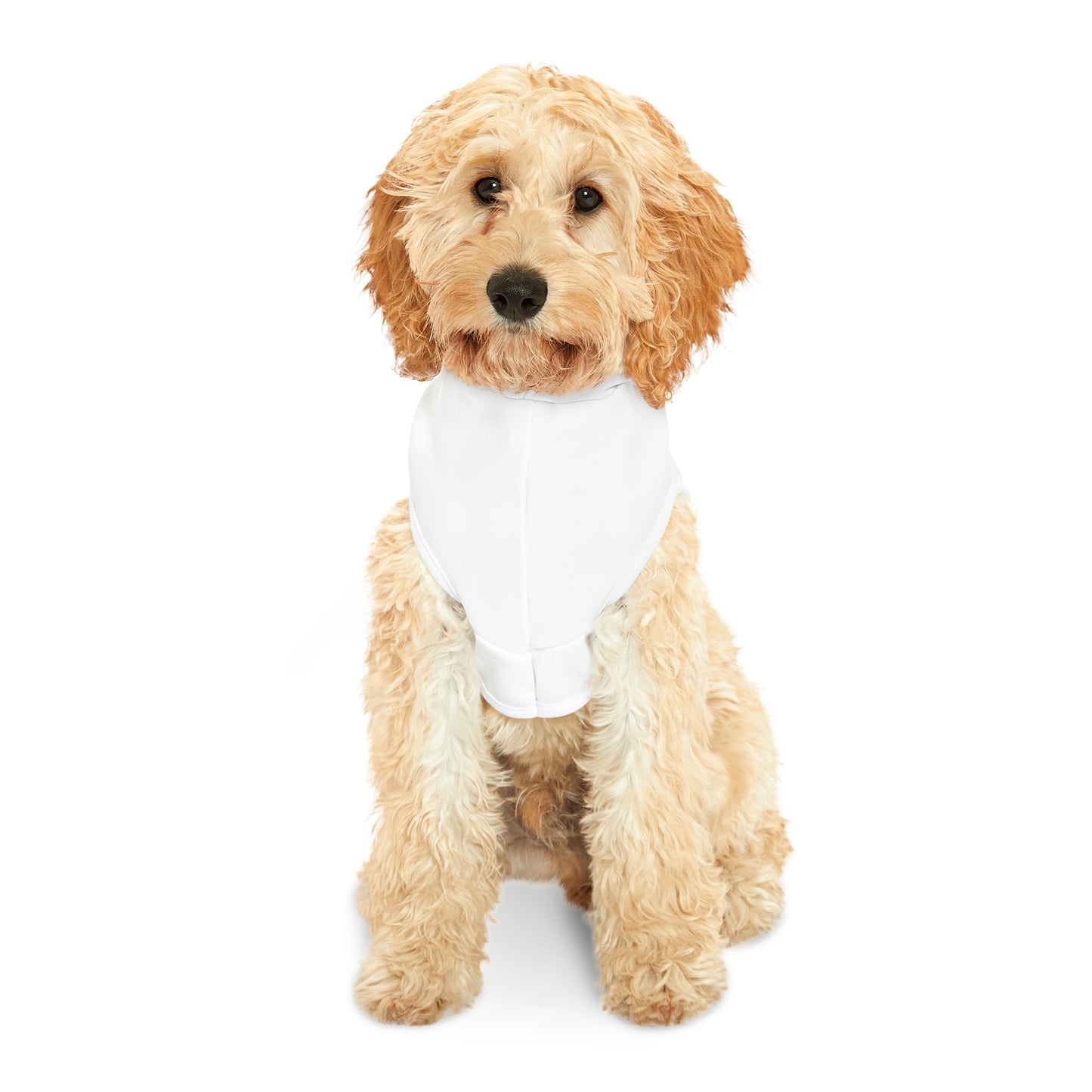 Dog Hoodie (I Love My Dog-Gone Life)