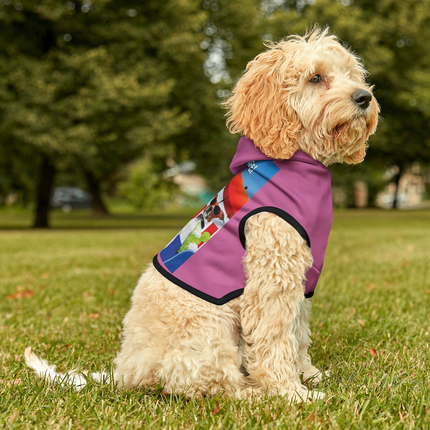 Dog Hoodie (I Love My Dog-Gone Life)