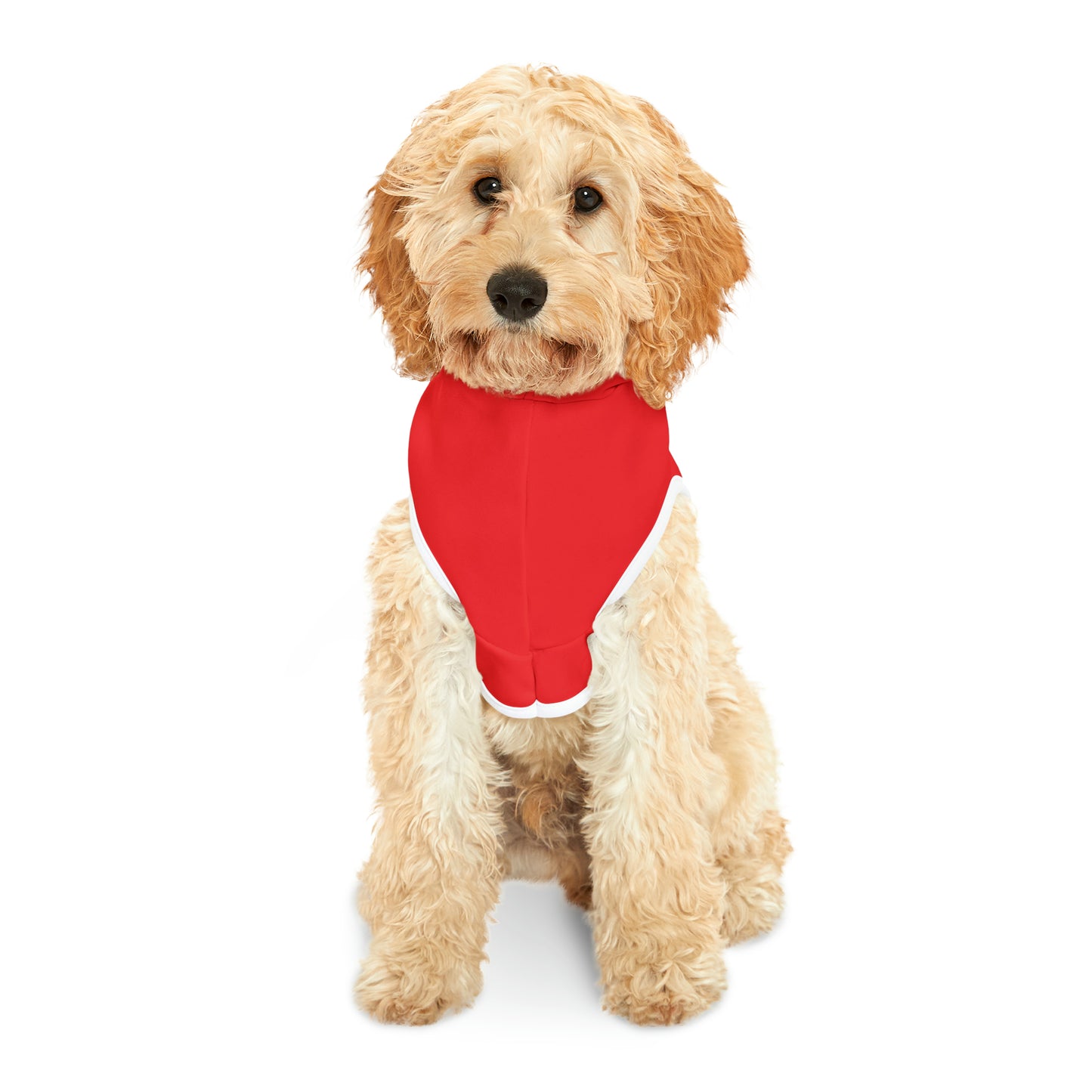 Dog Hoodie (I Love My Dog-Gone Life)