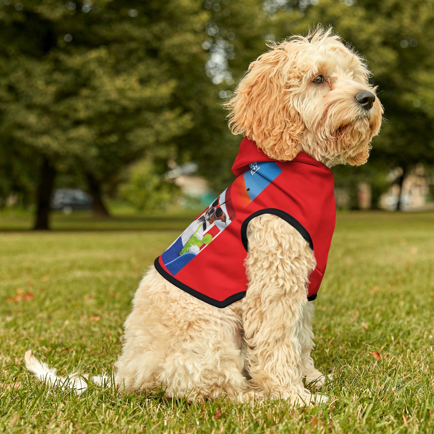 Dog Hoodie (I Love My Dog-Gone Life)